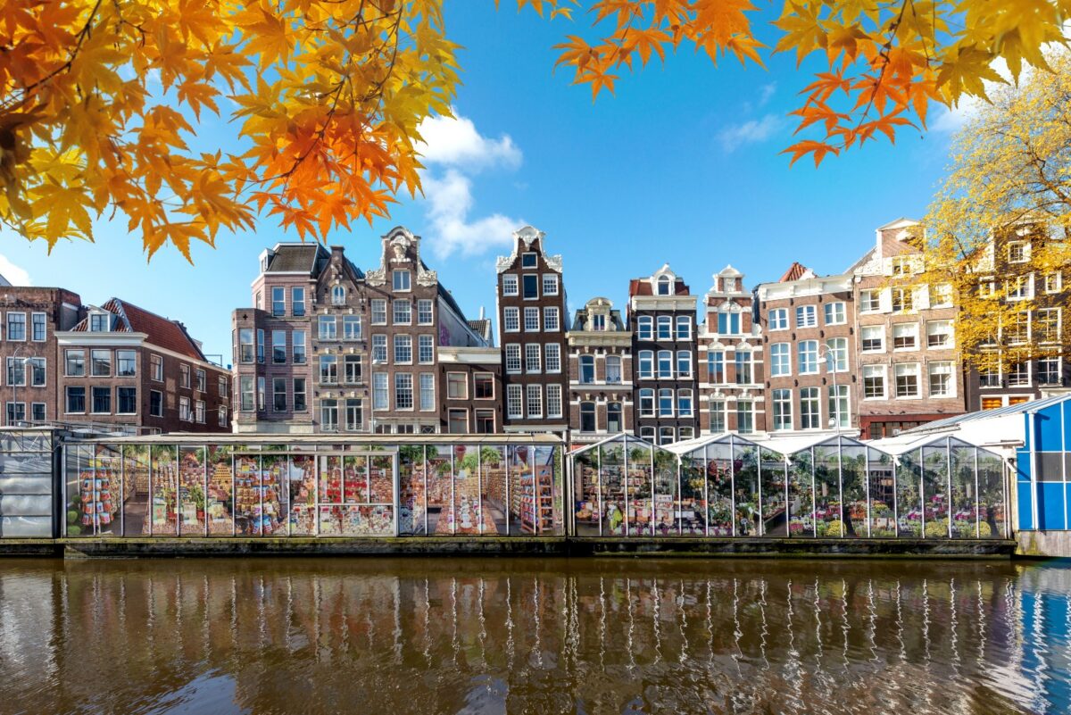 Bloemenmarkt (Çiçek Pazarı)