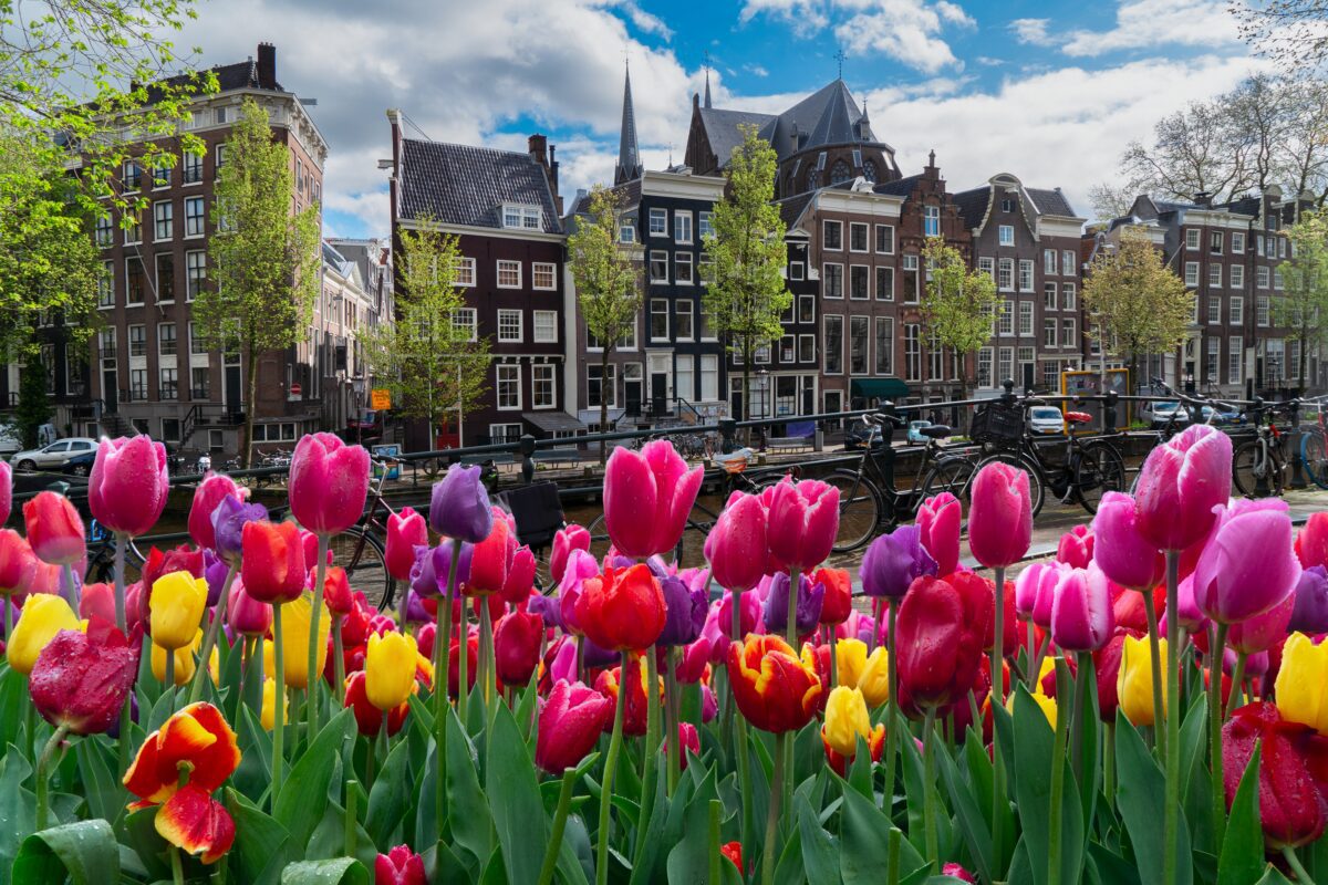 Amsterdam’a Ne Zaman Gidilir?